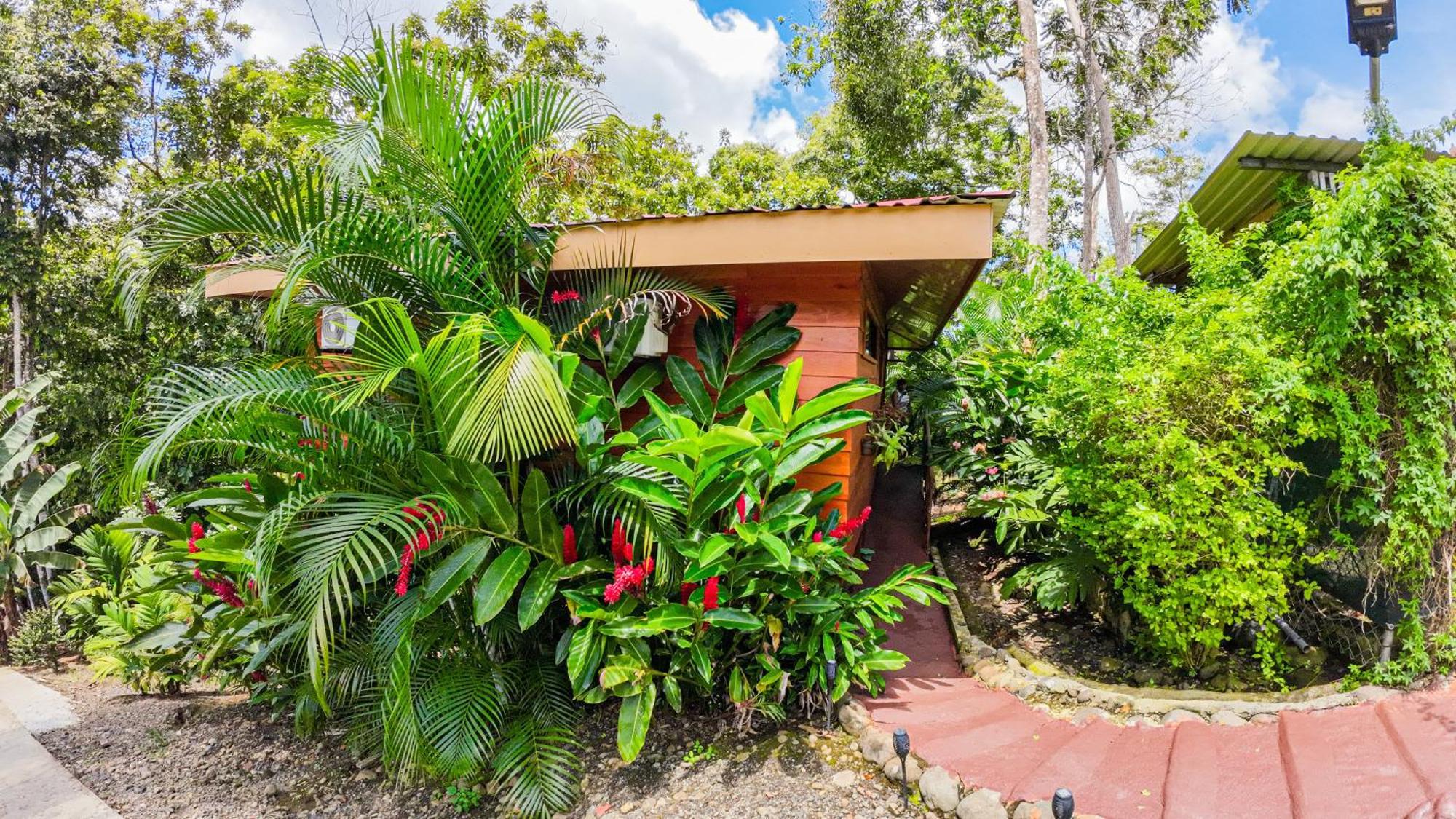 Bungalows Las Iguanas Arenal Volcano La Fortuna Exterior photo