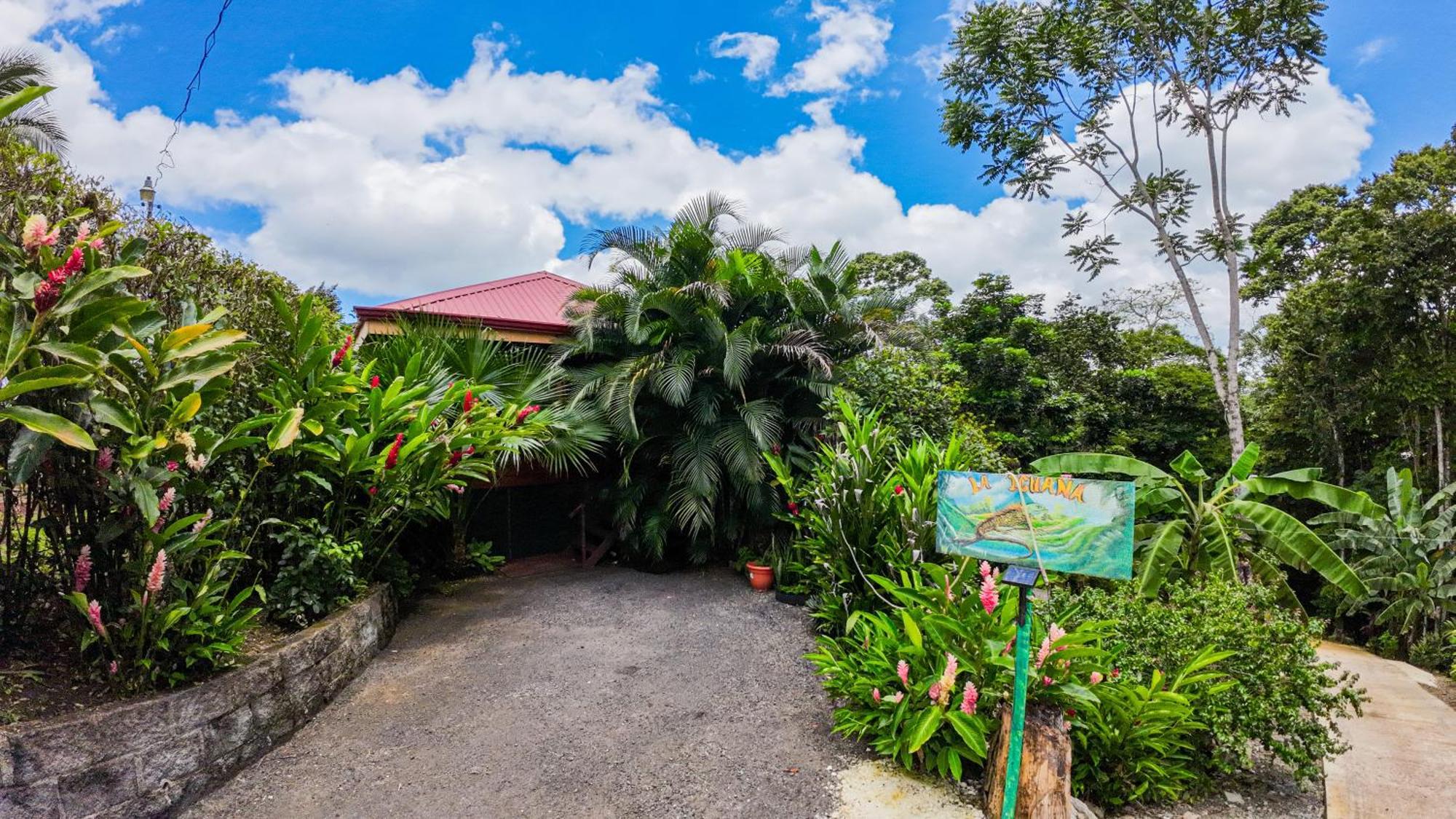 Bungalows Las Iguanas Arenal Volcano La Fortuna Exterior photo