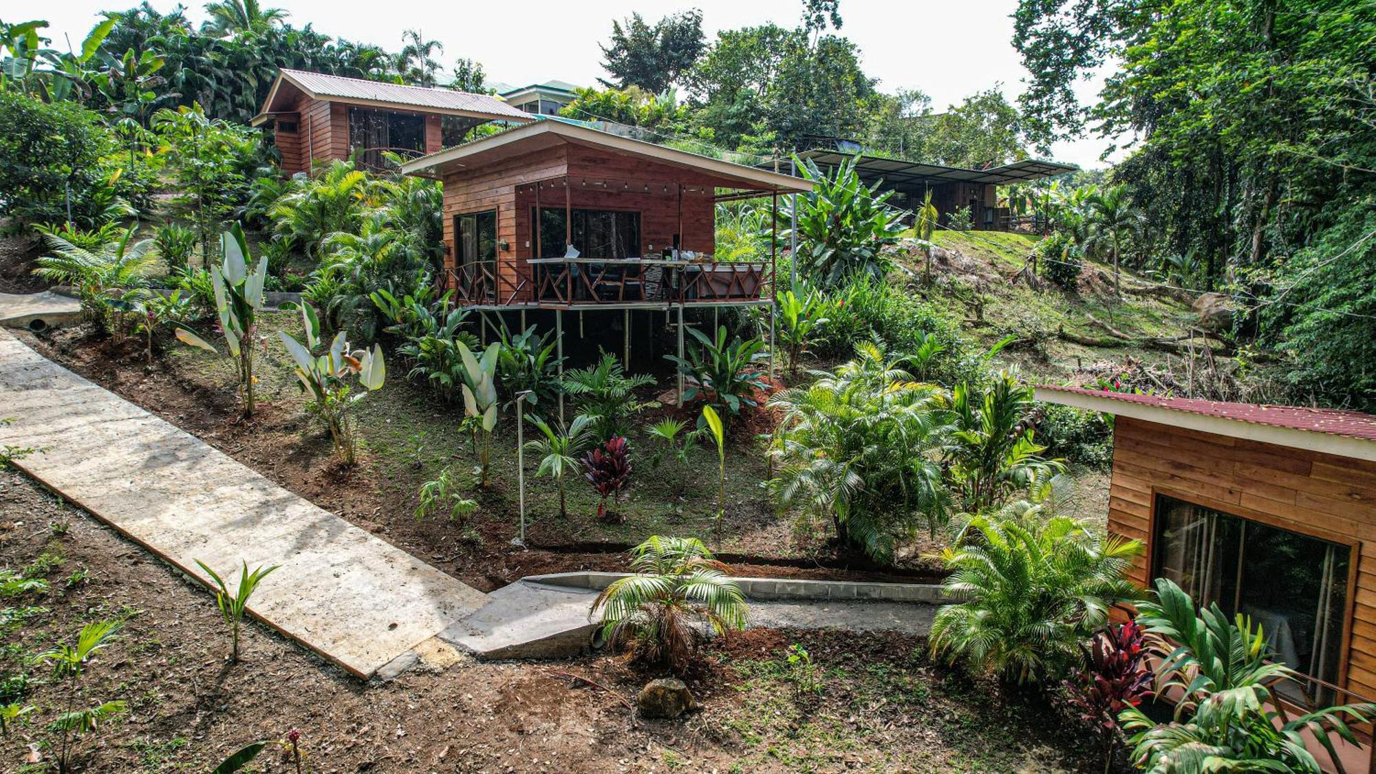 Bungalows Las Iguanas Arenal Volcano La Fortuna Exterior photo