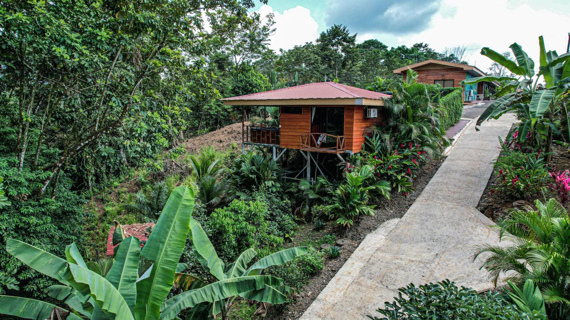 Bungalows Las Iguanas Arenal Volcano La Fortuna Exterior photo