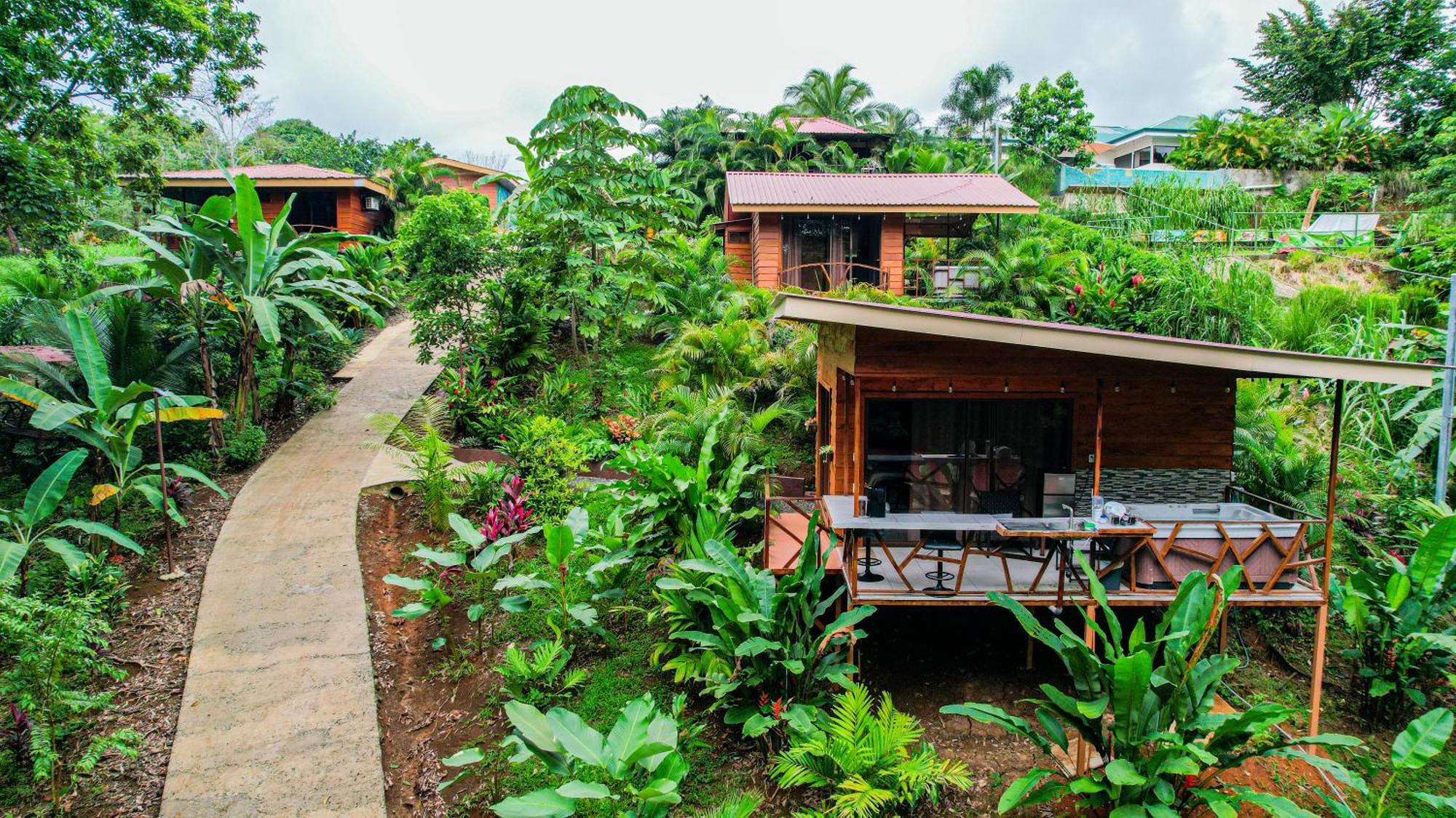 Bungalows Las Iguanas Arenal Volcano La Fortuna Exterior photo