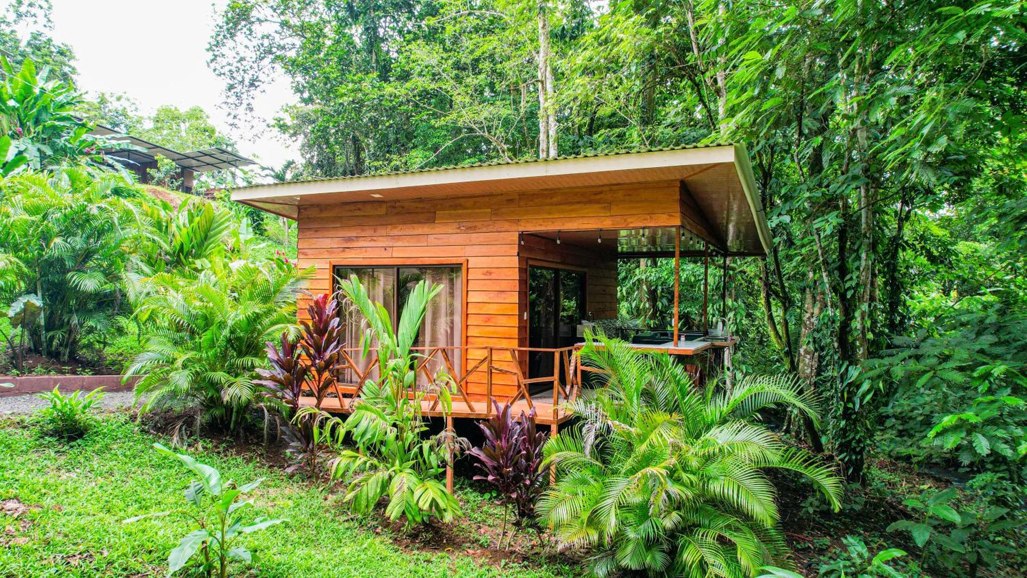 Bungalows Las Iguanas Arenal Volcano La Fortuna Exterior photo